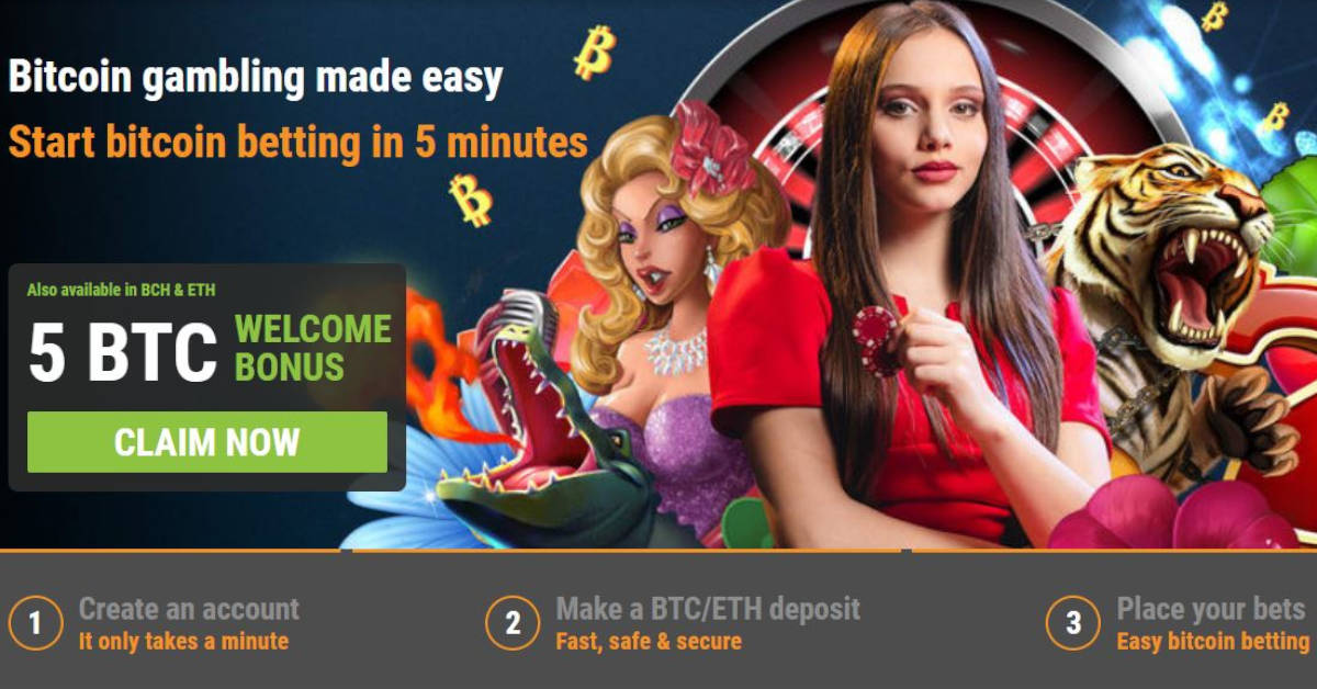 Play bingo for free and win real money